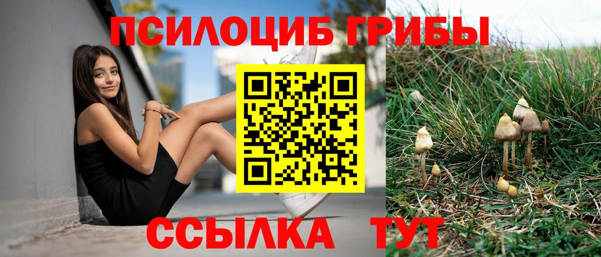 Псилоцибиновые грибы прущие грибы Курск