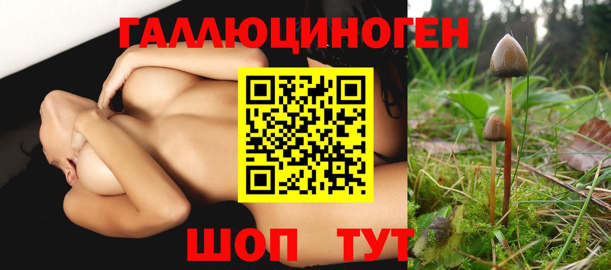 Псилоцибиновые грибы прущие грибы  Вход с VPN  Курск 